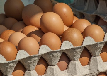 BNP gets egged as protestors call for end to free speech
