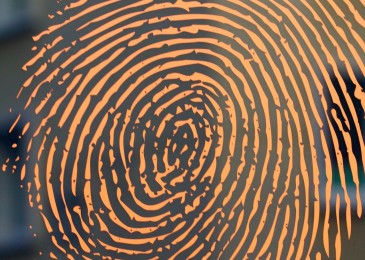 What’s so bad about ID cards?